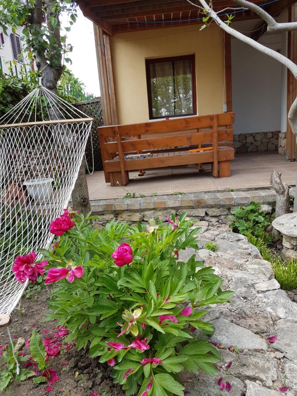 Casa Nikita Hotel Vama Veche Exterior photo