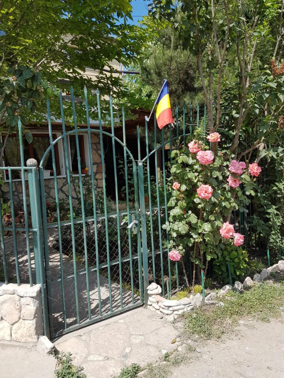 Casa Nikita Hotel Vama Veche Exterior photo