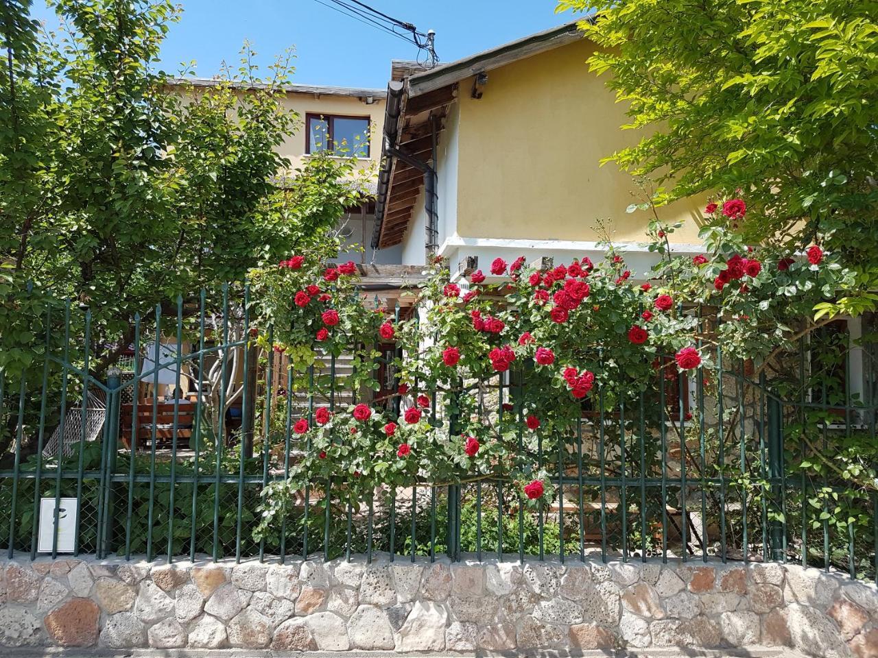 Casa Nikita Hotel Vama Veche Exterior photo